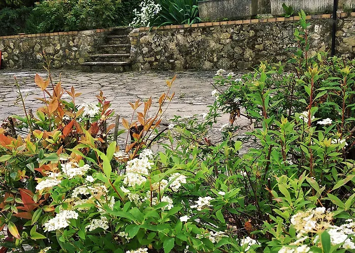 Vakantieboerderij Mulino Di